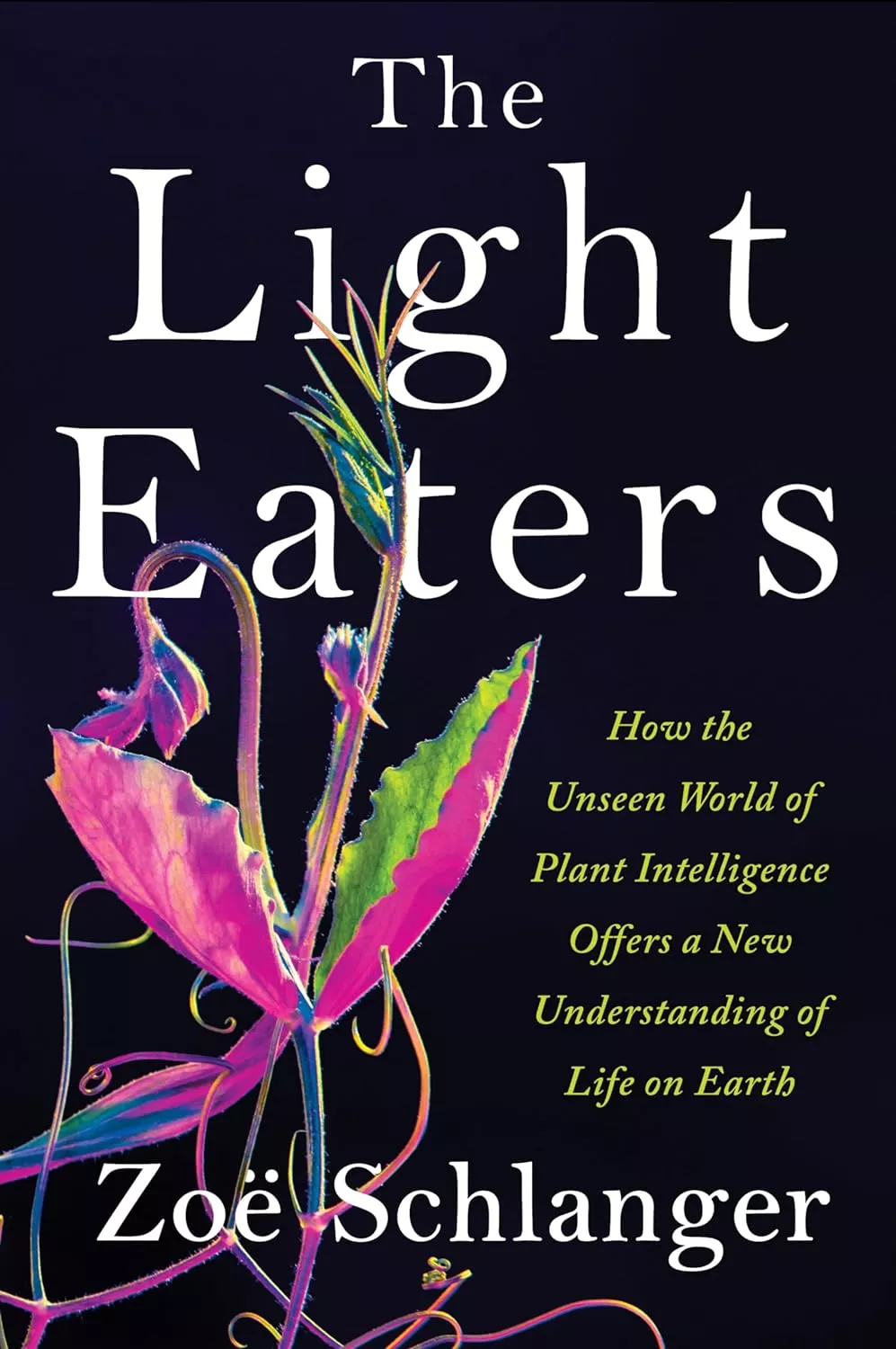 Book cover of 'The Light Eaters'