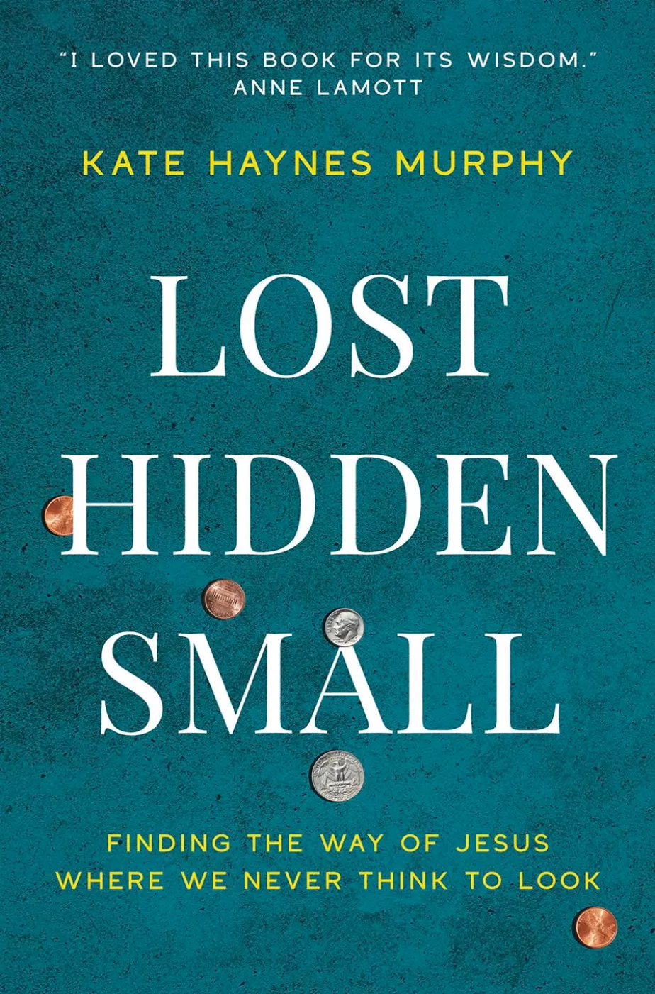 Book cover of Lost Hidden Small
