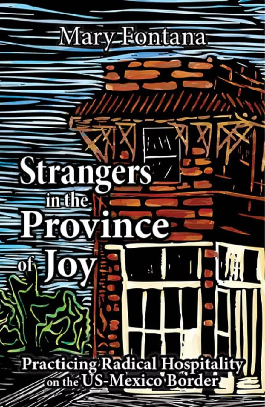 Book cover of Strangers in the Province of Joy